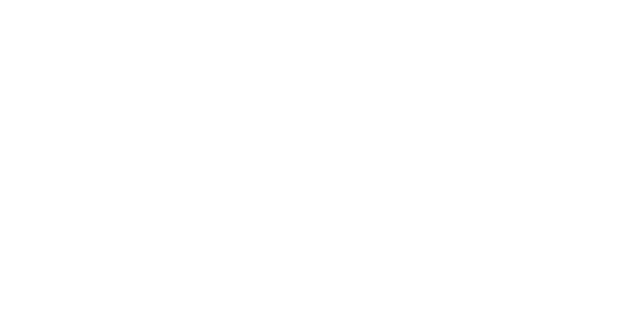 Dure Egypt Logo