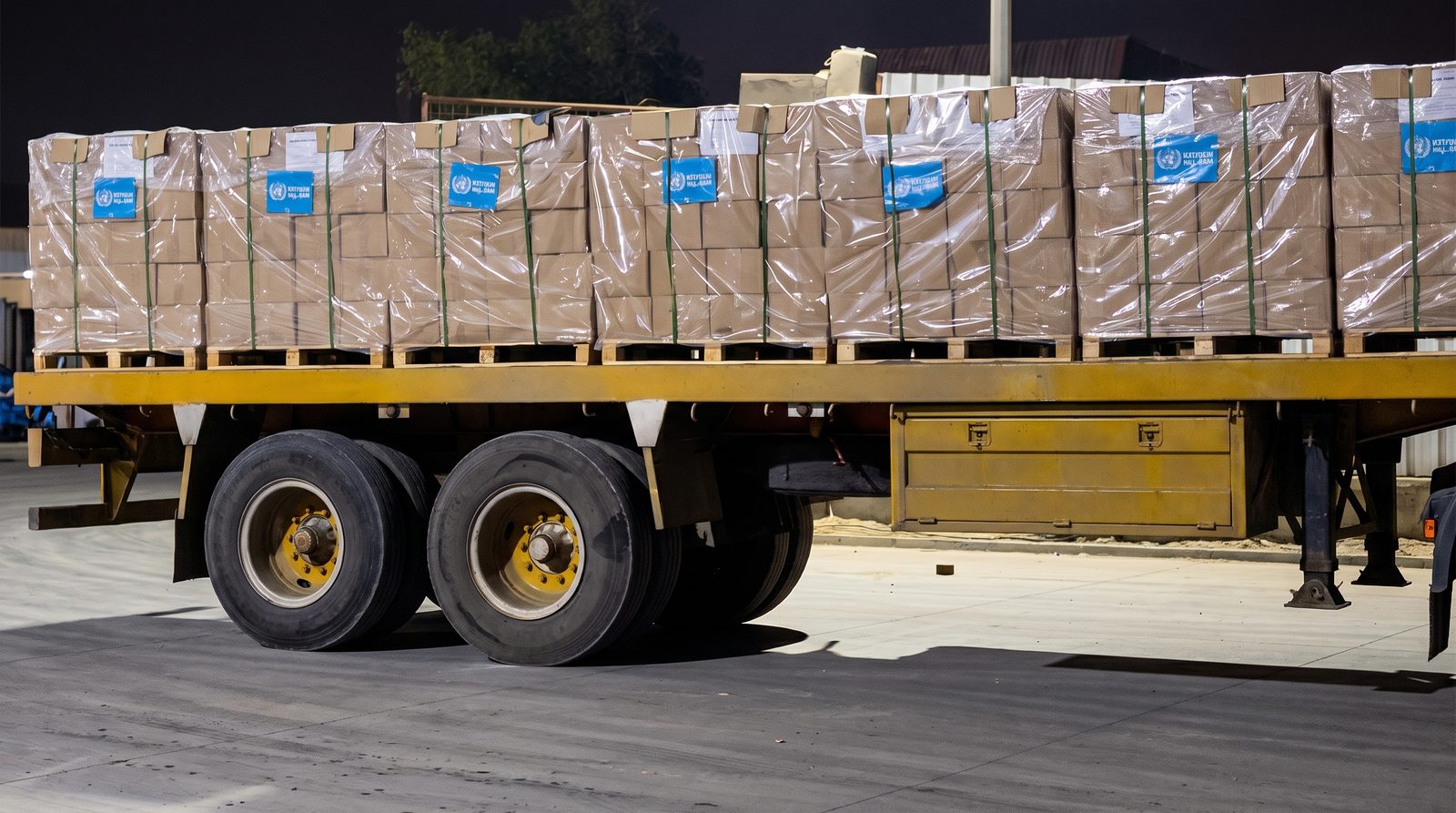 Palletized cartons loaded on transport truck